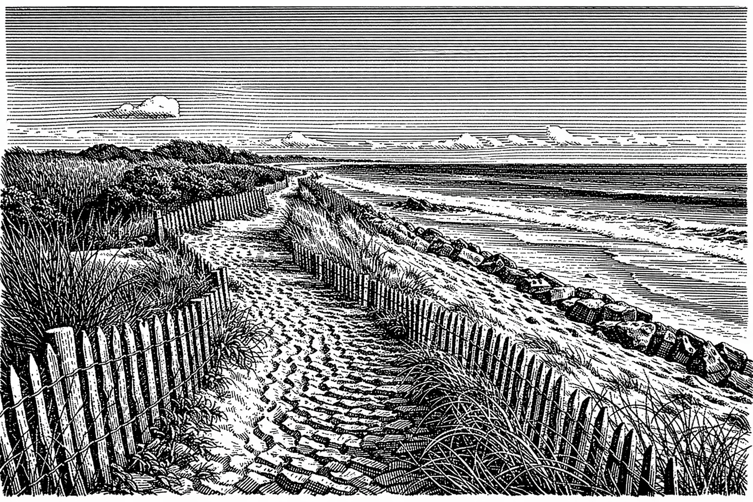 Côte Atlantique — plages à moins d'une heure de Lansac